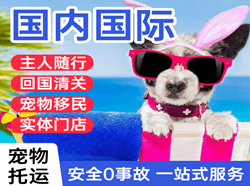 吐鲁番交河空运地址国际宠物托运 【国